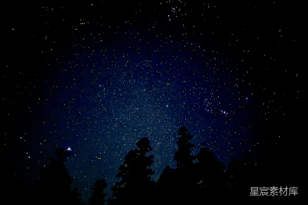 高清摄影 满天星斗映衬下的树影之上是一片晴朗的夜空。