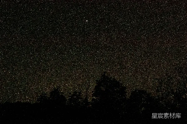 高清摄影 夜空被星星和树木填满。