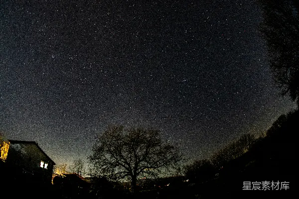 高清摄影 星空下的轮廓树和房屋