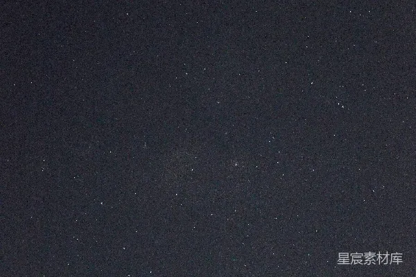高清摄影 夜空中的星星和前景的树木
