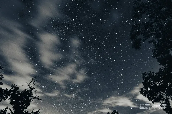 高清摄影 夜晚星空，星星、云朵和树木