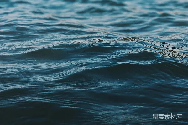 高清摄影 一幅近景画面，水中泛着波浪的身躯。