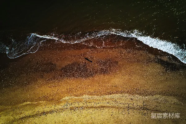 高清摄影 一只鸟在海边的沙滩上飞过，靠近海洋。