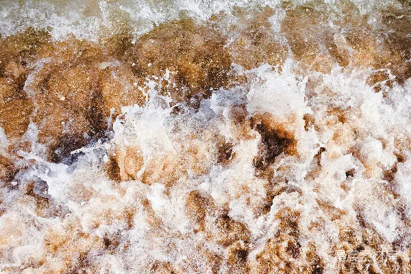 高清摄影 水体表面的棕色沙粒