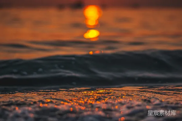 高清摄影 黄金时刻海滩上的特写照片