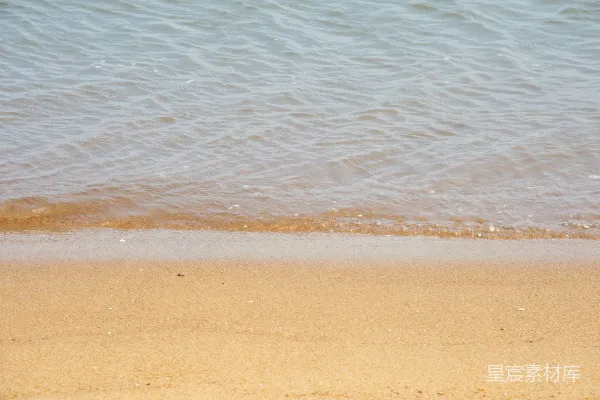 高清摄影 海滩上一只鸟站在海边