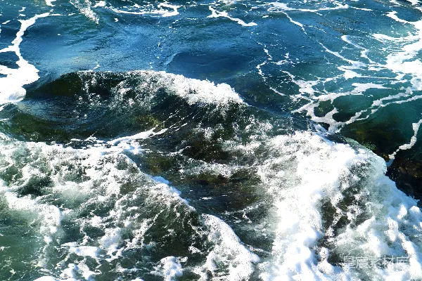高清摄影 白天的海浪