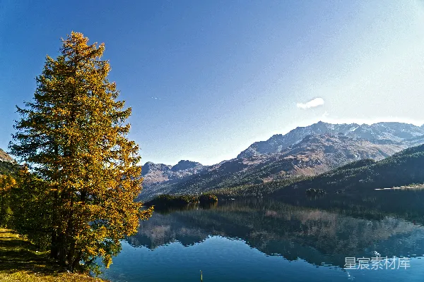 高清摄影 白天树木俯瞰平静湖泊，蓝天背景下