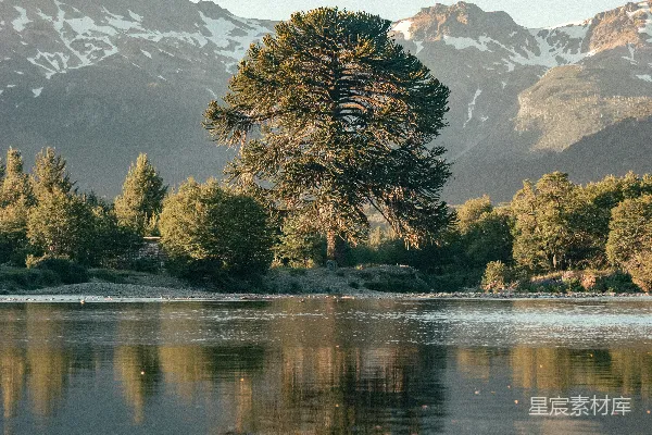 高清摄影 湖畔山间绿树葱葱