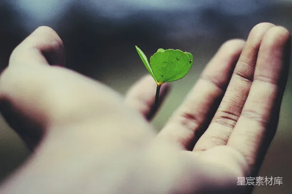 高清摄影 手心漂浮着一片绿叶植物