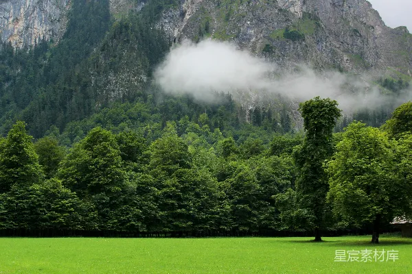 高清摄影 山前森林的风景摄影