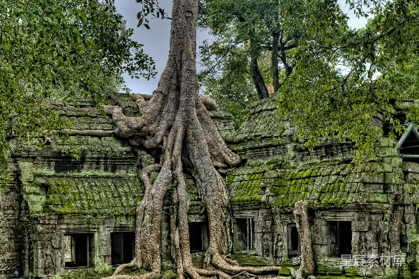 高清摄影 绿苔掩映下的灰暗废墟
