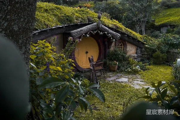 高清摄影 白天长满青苔的房子