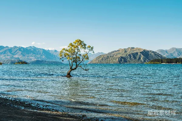 高清摄影 白天海滩上的绿树