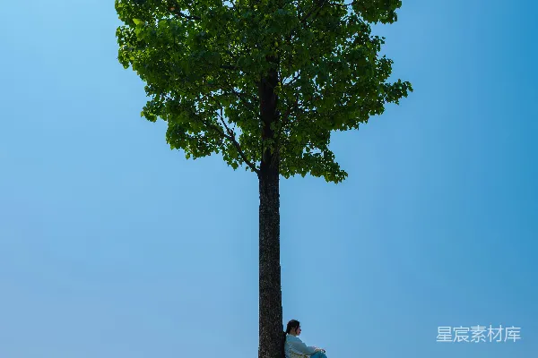 高清摄影 人在阳光灿烂的一天里躺在树下休息。