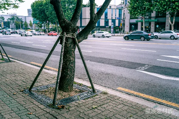 高清摄影 白天停在路边的汽车