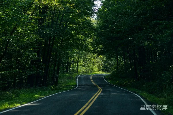 高清摄影 森林中一条空旷的道路