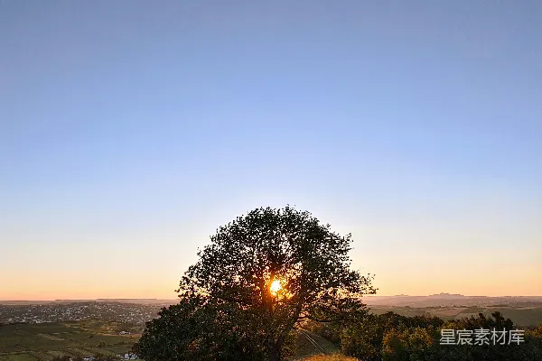 高清摄影 山坡上的一棵树，太阳正在落下背景中。