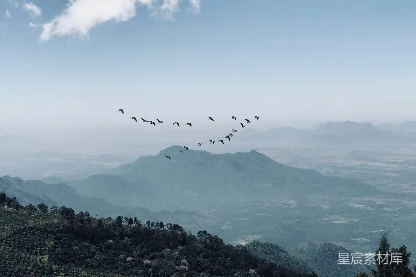 高清摄影 空中鸟群与山景