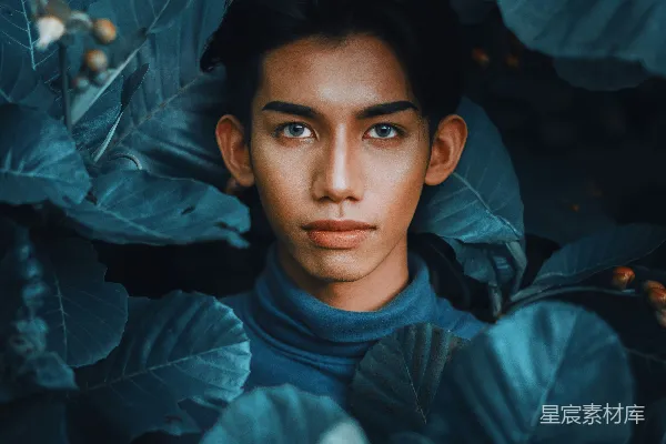 高清摄影 蓝衫男孩站在绿叶旁边