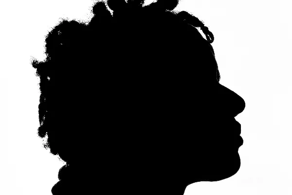 高清摄影 男人轮廓插图