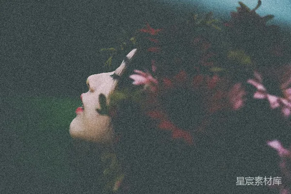 高清摄影 头戴红粉交织的花冠的女人