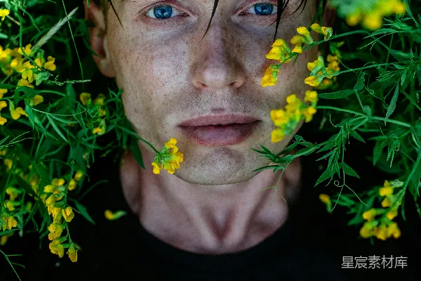 高清摄影 一个蓝眼睛的男人被黄色花朵围绕。