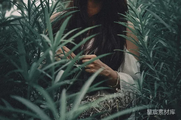 高清摄影 女人大步站在绿色植物之间