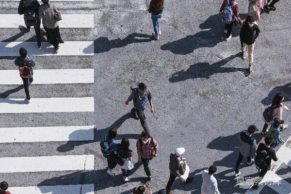 高清摄影 空中拍摄人们穿过人行道的照片