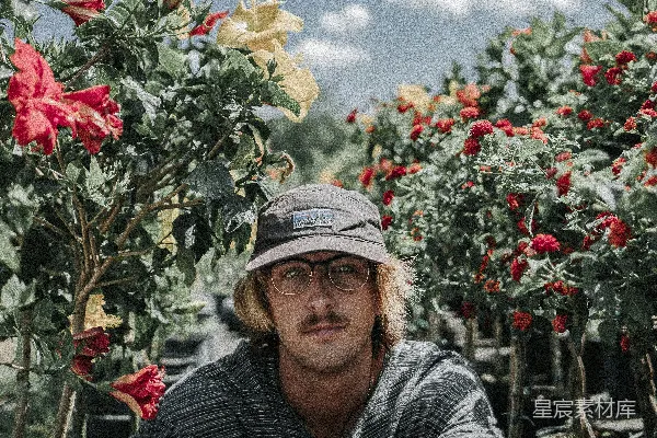 高清摄影 白天，男士坐在 Hibiscus 花朵附近的地上。