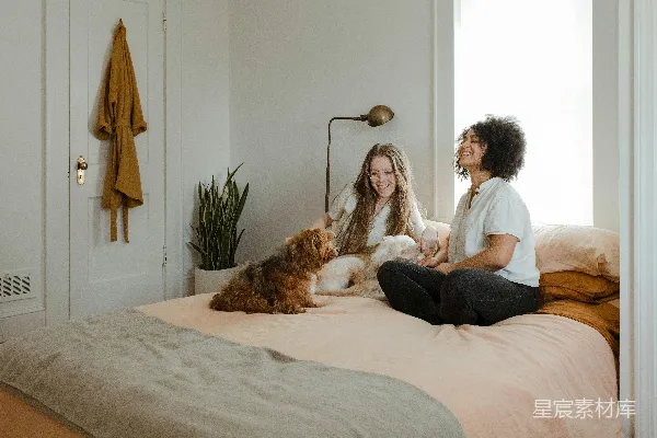 高清摄影 白上衣的女人坐在床边，旁边有一只棕色的狗。
