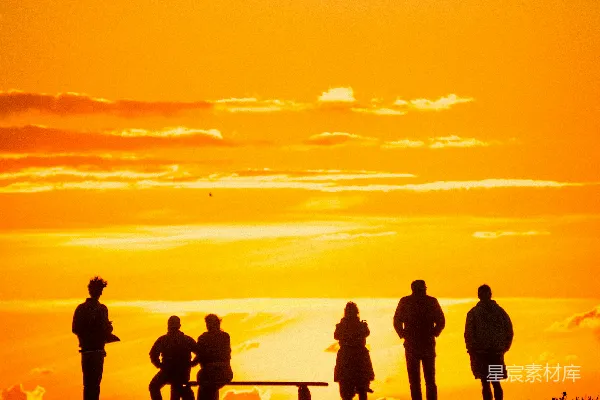 高清摄影 夕阳下人们站在草地上的轮廓