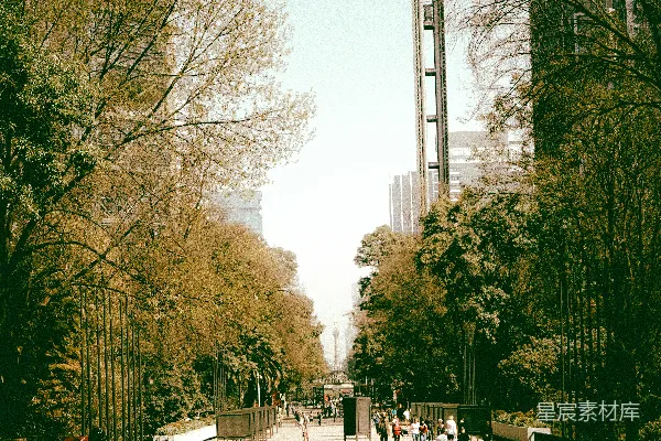 高清摄影 一群人走在旁边有高大建筑的街道上