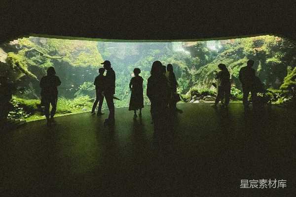 高清摄影 一群人在隧道里站着
