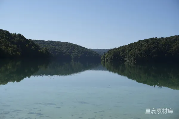 一片环绕着树木的水域