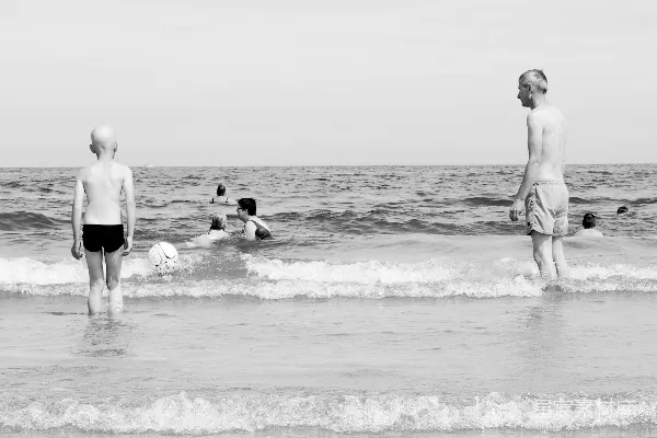高清摄影 一群人正在海边嬉戏。