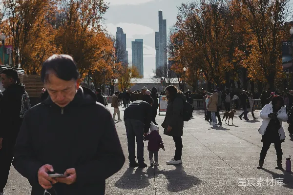 高清摄影 城市公园中人们漫步，秋树环绕。