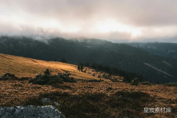 山间树林的风景