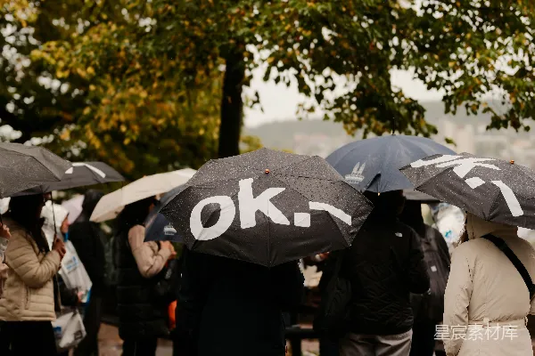 高清摄影 雨中撑伞的人们