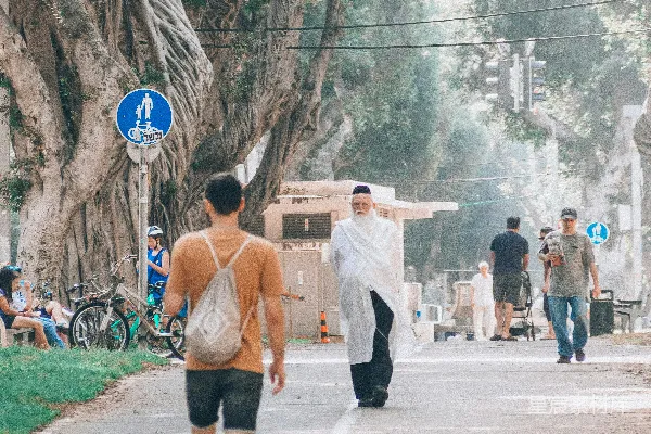 高清摄影 几名男子在两侧有树的街道上行走