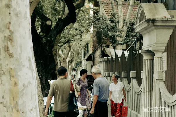 高清摄影 人们走在树荫下的步行道上，前方是建筑物。