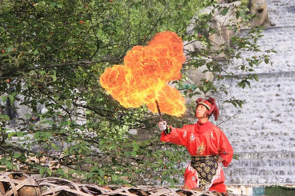 高清摄影 白天人在进行火灾活动