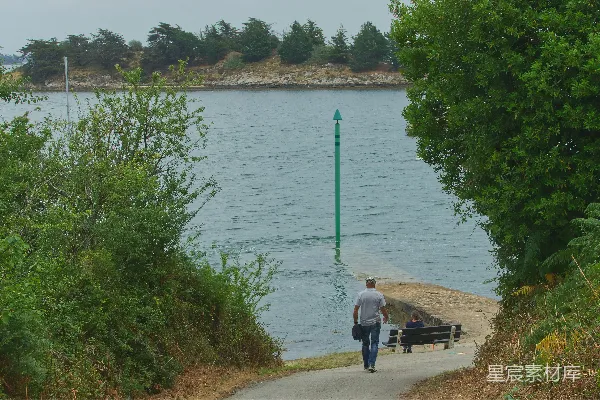 高清摄影 一个男人和一个女人沿着一条小路走在湖边。