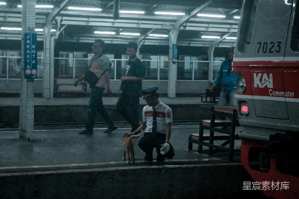高清摄影 车站工作人员与一只猫互动。