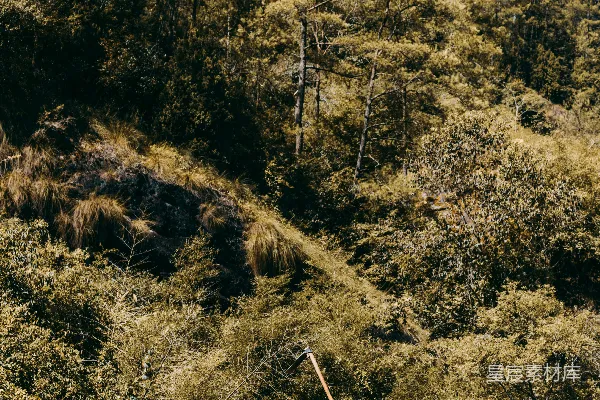 高清摄影 一个戴帽子拿着拐杖的人在田野里