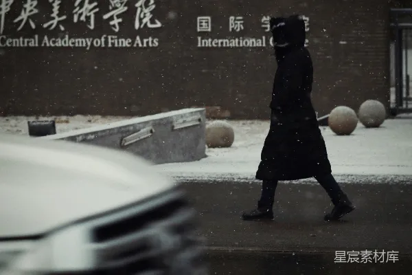 高清摄影 街上一位妇女在雪中行走