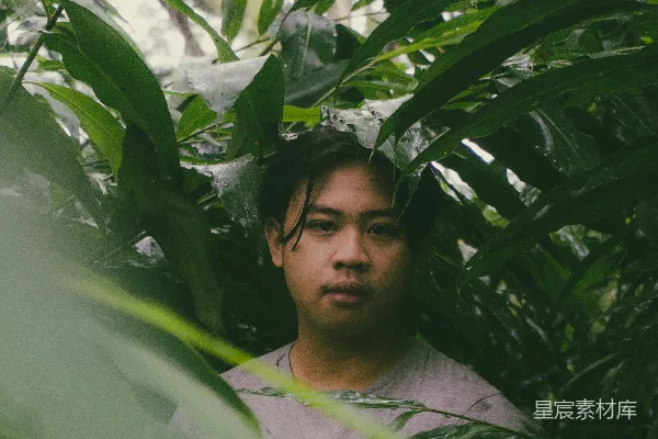 高清摄影 一个男人站在一片茂密绿色森林的中央。