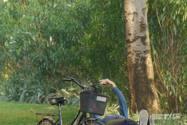 高清摄影 一个男人坐在一辆自行车旁边的一张长凳上。