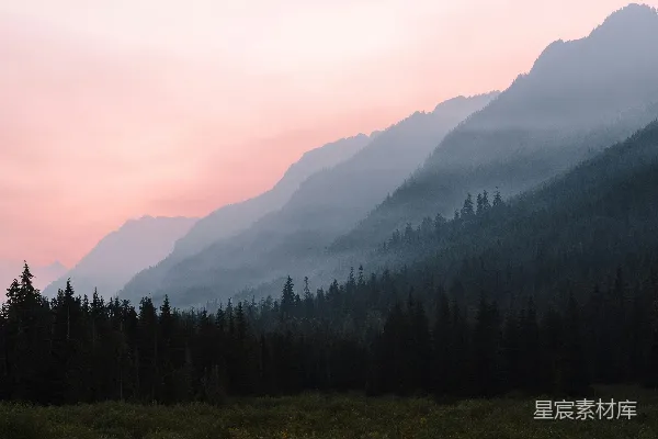 山间树木的风景摄影