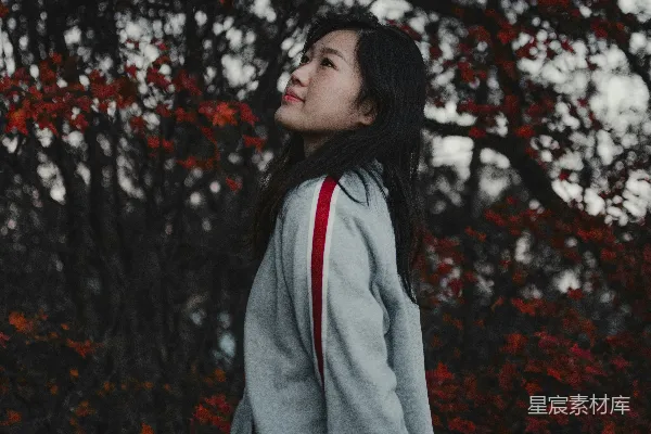 高清摄影 一个女人站在一棵红叶树前
